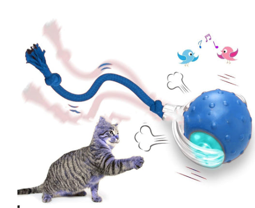 Interactive Cat Toy Ball Super Drive Cat Rolling Balls With - 0 - CJ
