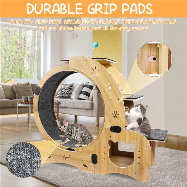 Cat Wheel 6 - in - 1 Cat Sports Wheel, Upgraded Indoor Cat Wheel Sports Device - 5 - CJ