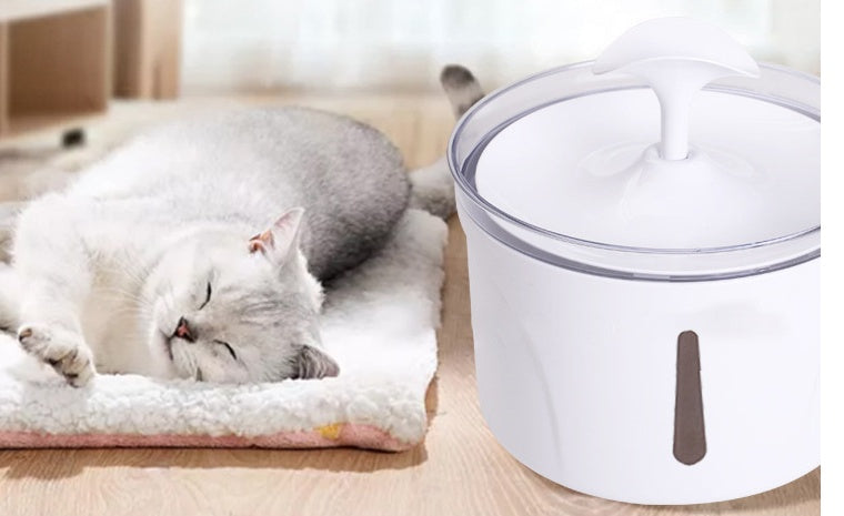 Pet Water Dispenser Intelligent Automatic Circulating Filter Water Dispenser - 0 - CJ