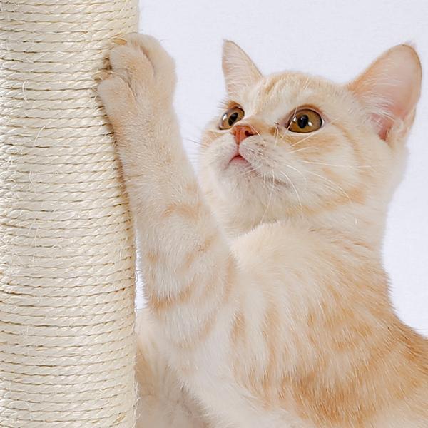 Indoor Cat Soft Scratching Board And Interactive Ball Track Toy Cat Rest And Grooming Supplies - 5 - cjdroshippping