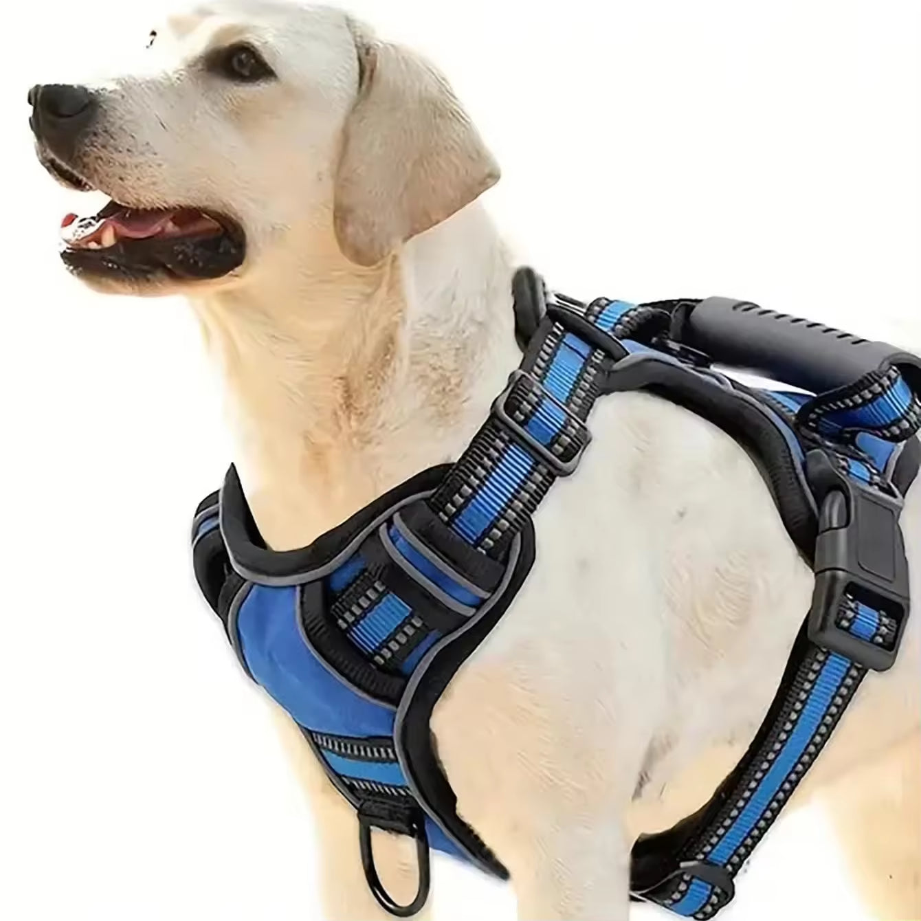 Tactical Service Dog Harness Strap Set, Car Seat Belt, Collapsible Bowl, Biodegradable Trash Bag Set For Dogs - 5 - CJ