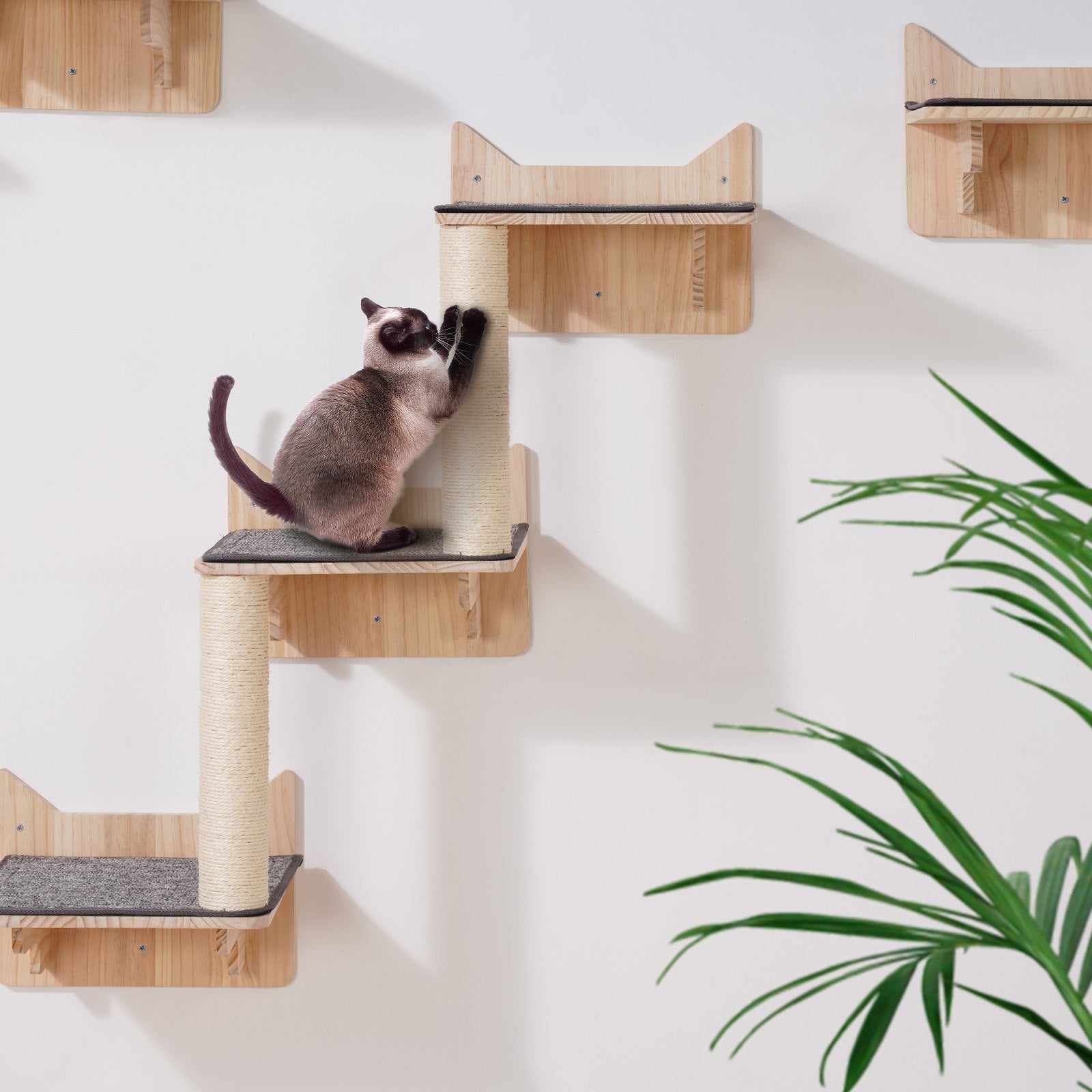 Wall Mounted Cat Shelves Tree With Jumping Boards Nest Furniture Set Of 5 - 5 - CJ