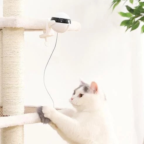 Pet Cat Toy Electronic Motion Cat Toy Interactive - 0 - CJ