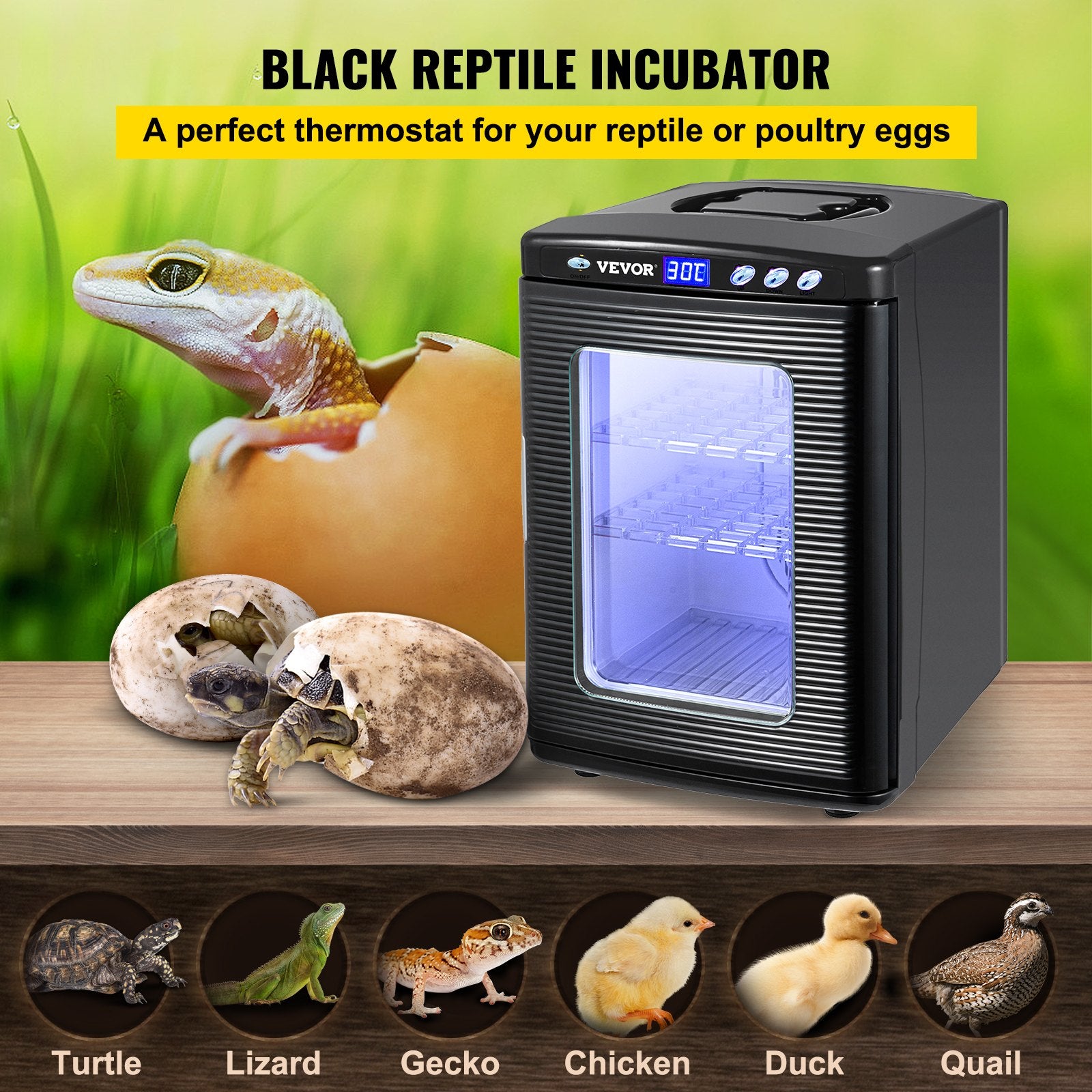Black Reptile Incubator 25L Scientific Lab Incubator Digital Incubator Cooling And Heating 5 - 42°C Reptile Egg Incubator 12V/110V Work For Small Reptiles - 5 - CJ