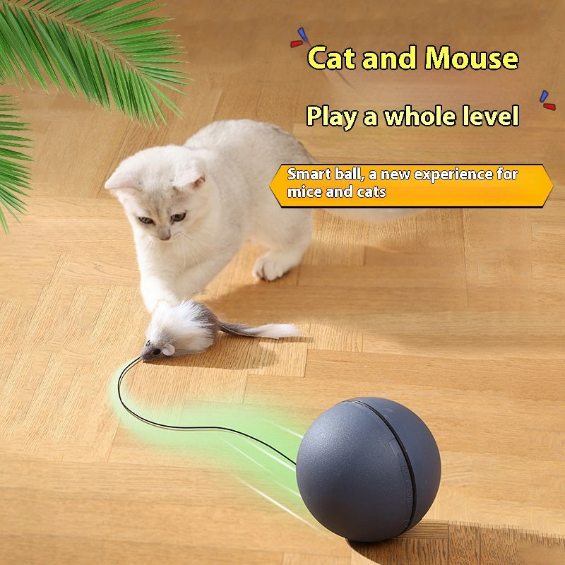 Cat Toys Mouse Teaser Ball Funny Moving Toy For Pets Cat Dog Electric - 0 - CJ