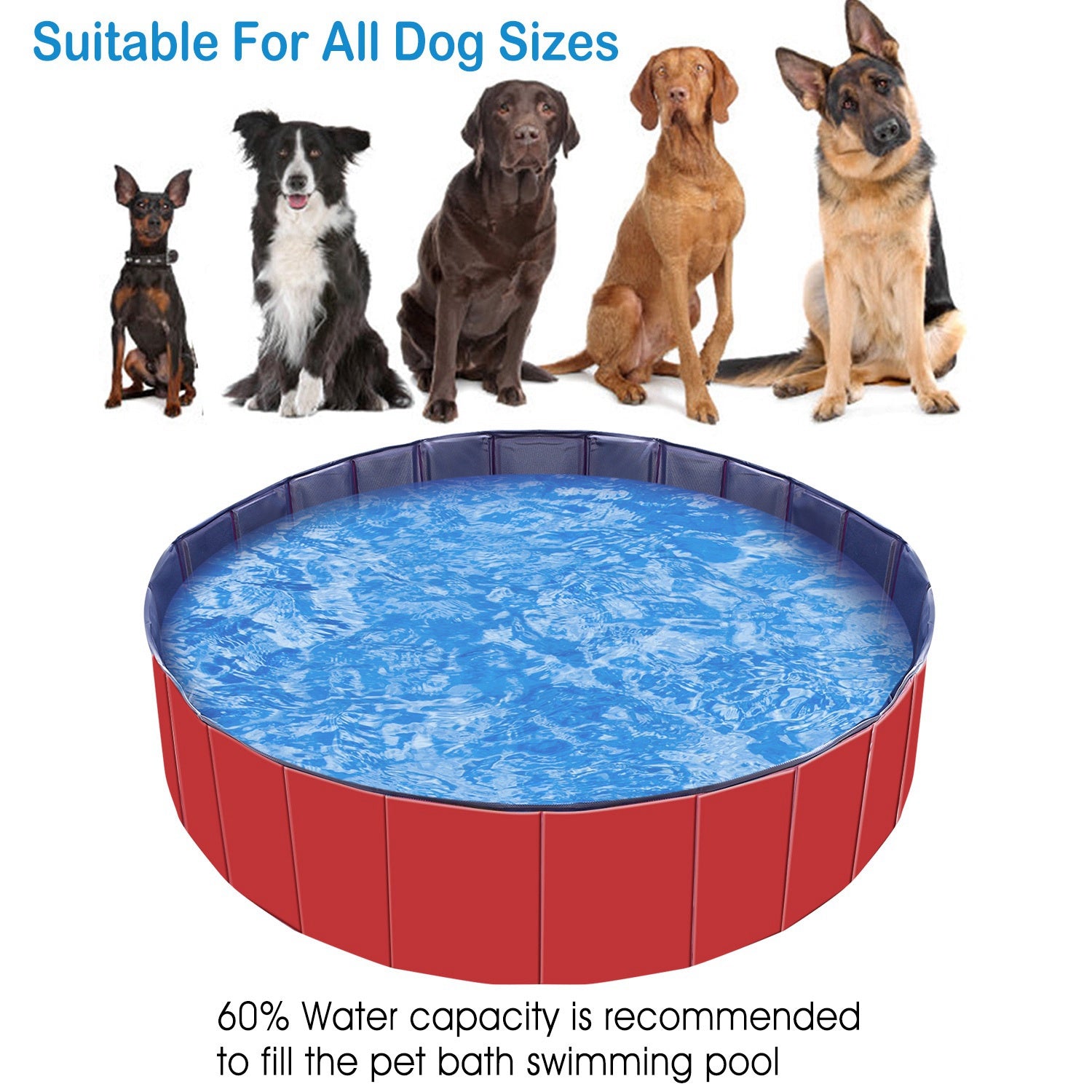 1Pc 160 X 160 X 30cm - 63.0 X 63.0 X 11.8inch Foldable Pet Swimming Pool PVC Dog Swim Pool Bathing Tub Playmat Pools - 5 - CJ