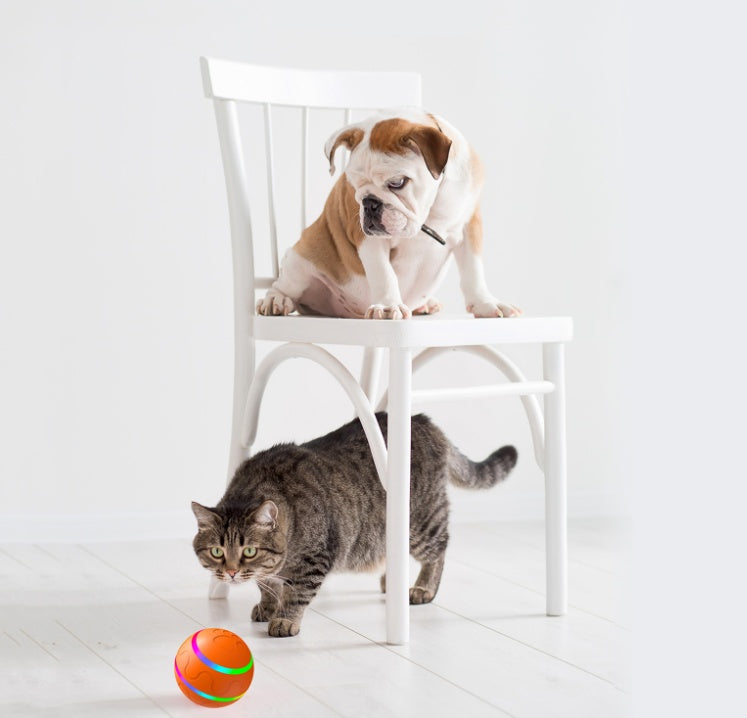 Pet New Cat Wicked Ball Toy Intelligent Ball USB Cat Toys Self Rotating Ball Automatic Rotation Ball - 0 - CJ