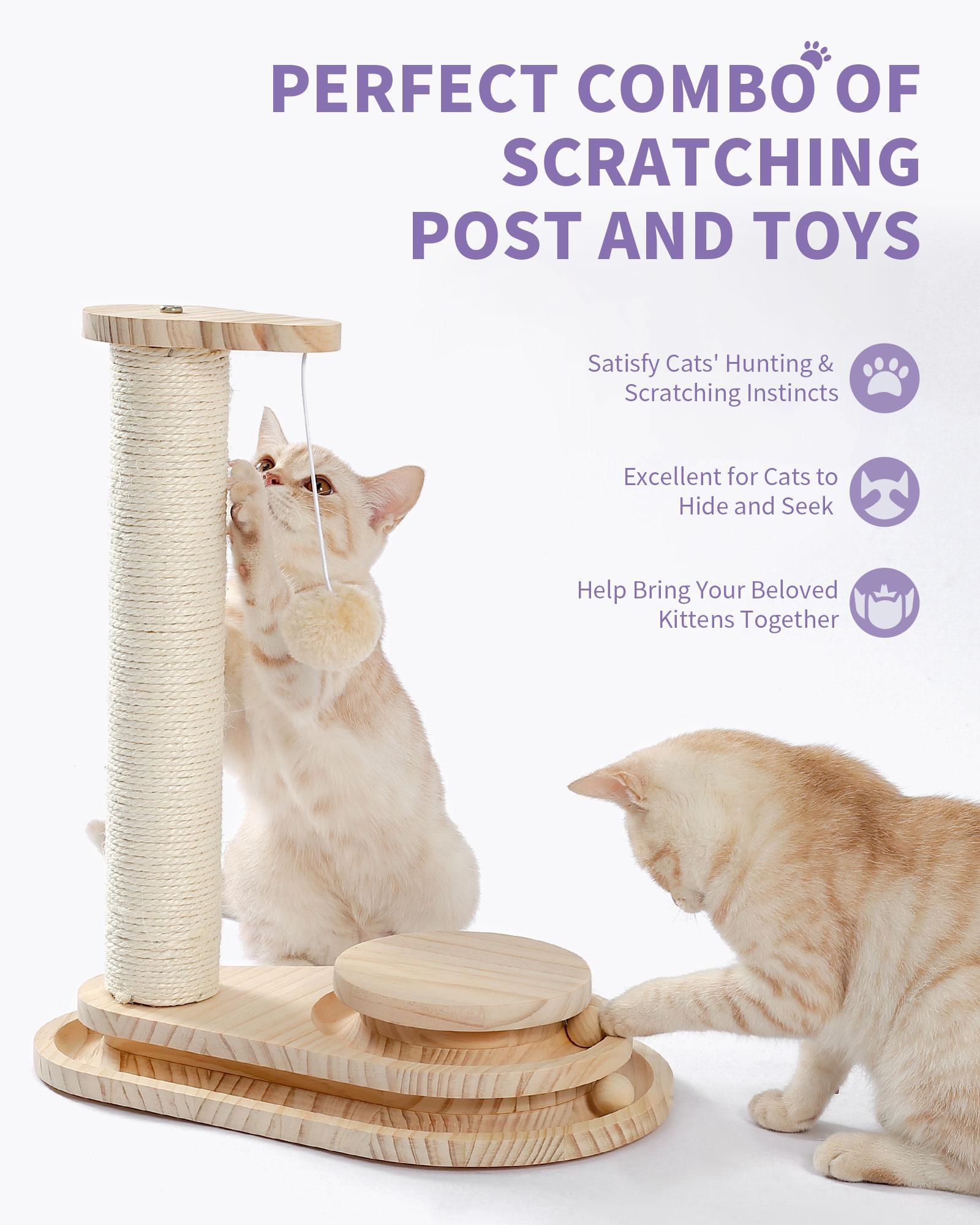 Indoor Cat Soft Scratching Board And Interactive Ball Track Toy Cat Rest And Grooming Supplies - 5 - cjdroshippping