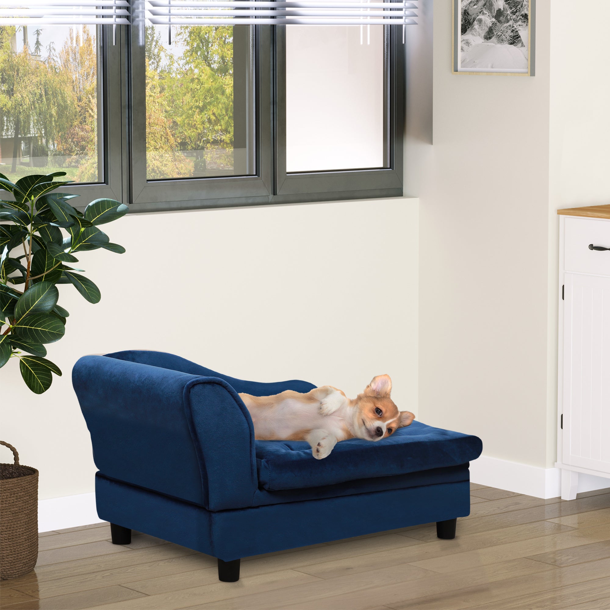 Luxury Small Dog Bed With Hidden Storage - 5 - CJ