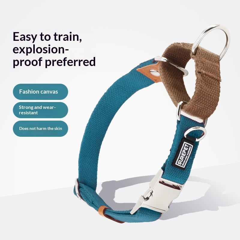 Dog Collar With ID Tag To Prevent Your Dog From Getting Lost - 0 - CJ