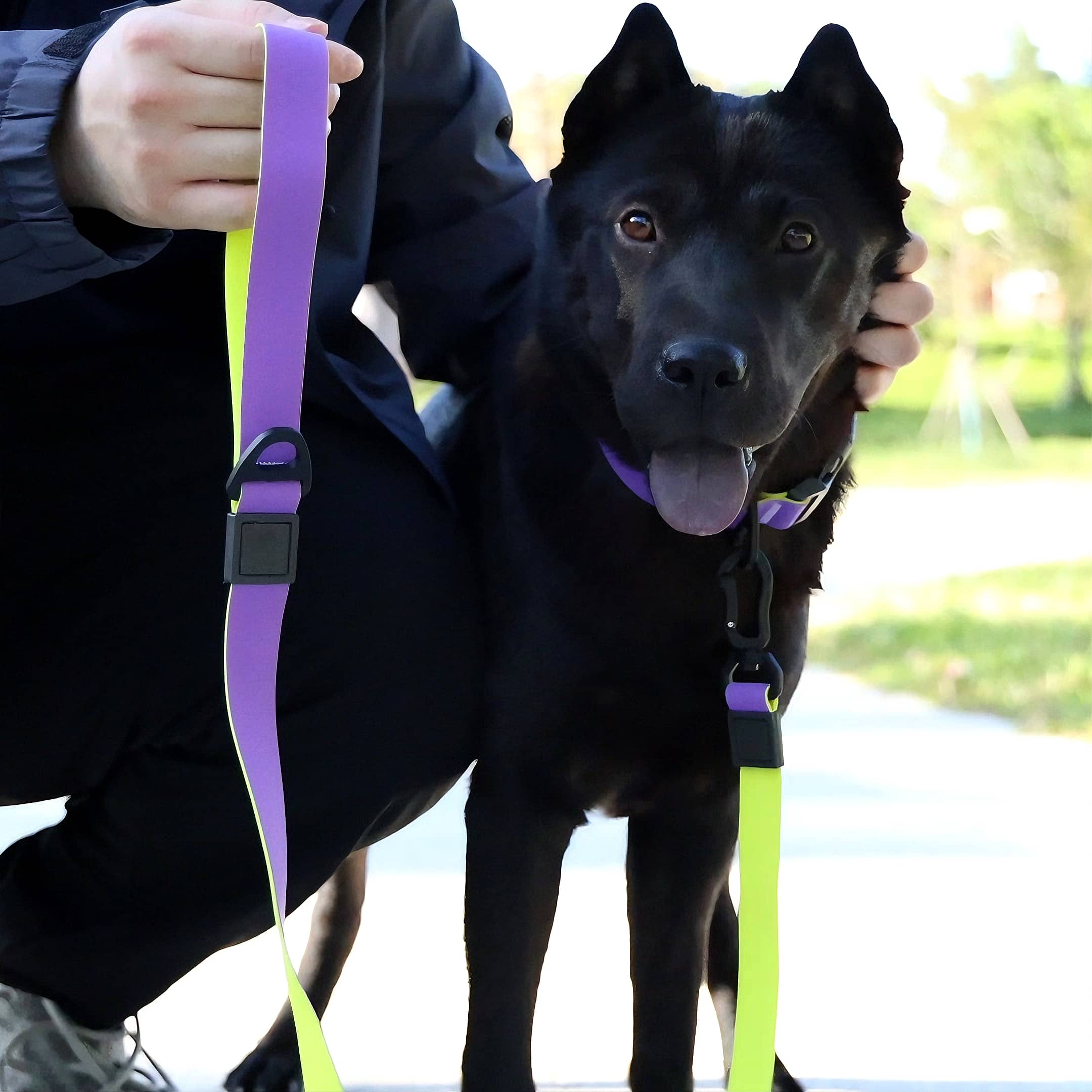 Honeycomb Embossed Dual - Color Pet Leash Set Is Stylish And Fashionable. The Embossed Surface Enhances The Leash's Grip, Preventing Slippage When Held. The Product Is Waterproof, Wear - resistant, Odor - r - 5 - CJ