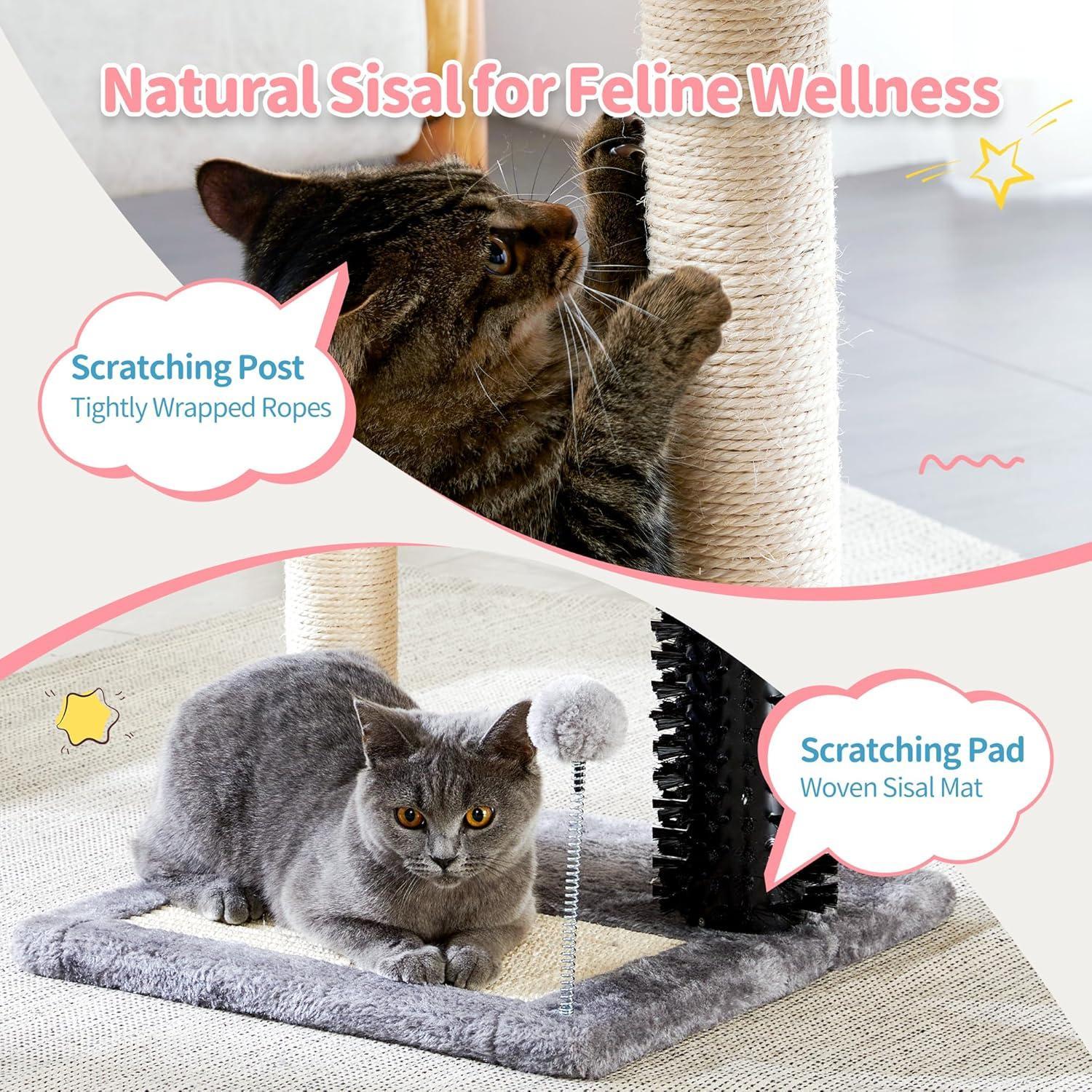 Small 4 - in - 1 Cat Tree Tower With Self - grooming Brush And Natural Sisal Scratching Post, Soft Plush Cat Bed And Hanging Ball, Suitable For Indoor Kittens - 5 - CJ