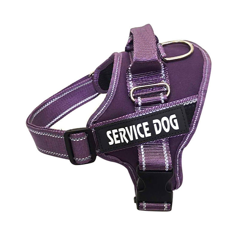 Personalization Of Pet Chest Strap Products - 7 - CJ - Purple - XL - CJGX163660320TG
