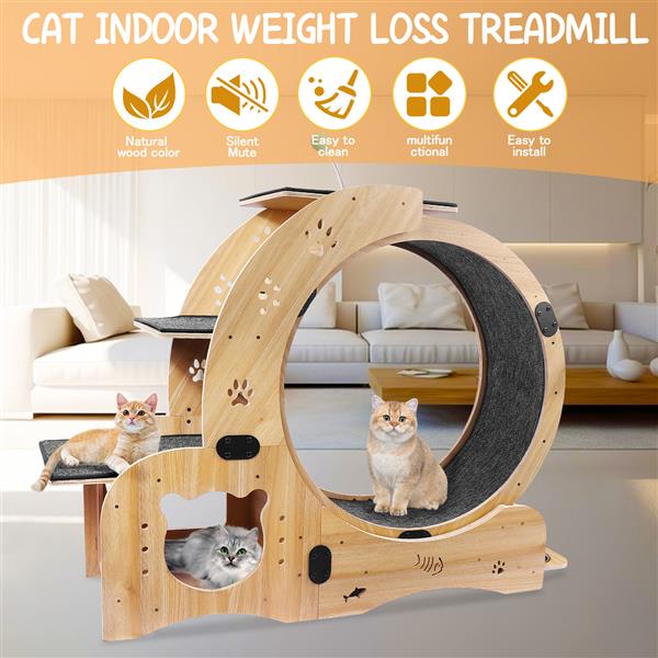 Cat Wheel 6 - in - 1 Cat Sports Wheel, Upgraded Indoor Cat Wheel Sports Device - 5 - CJ
