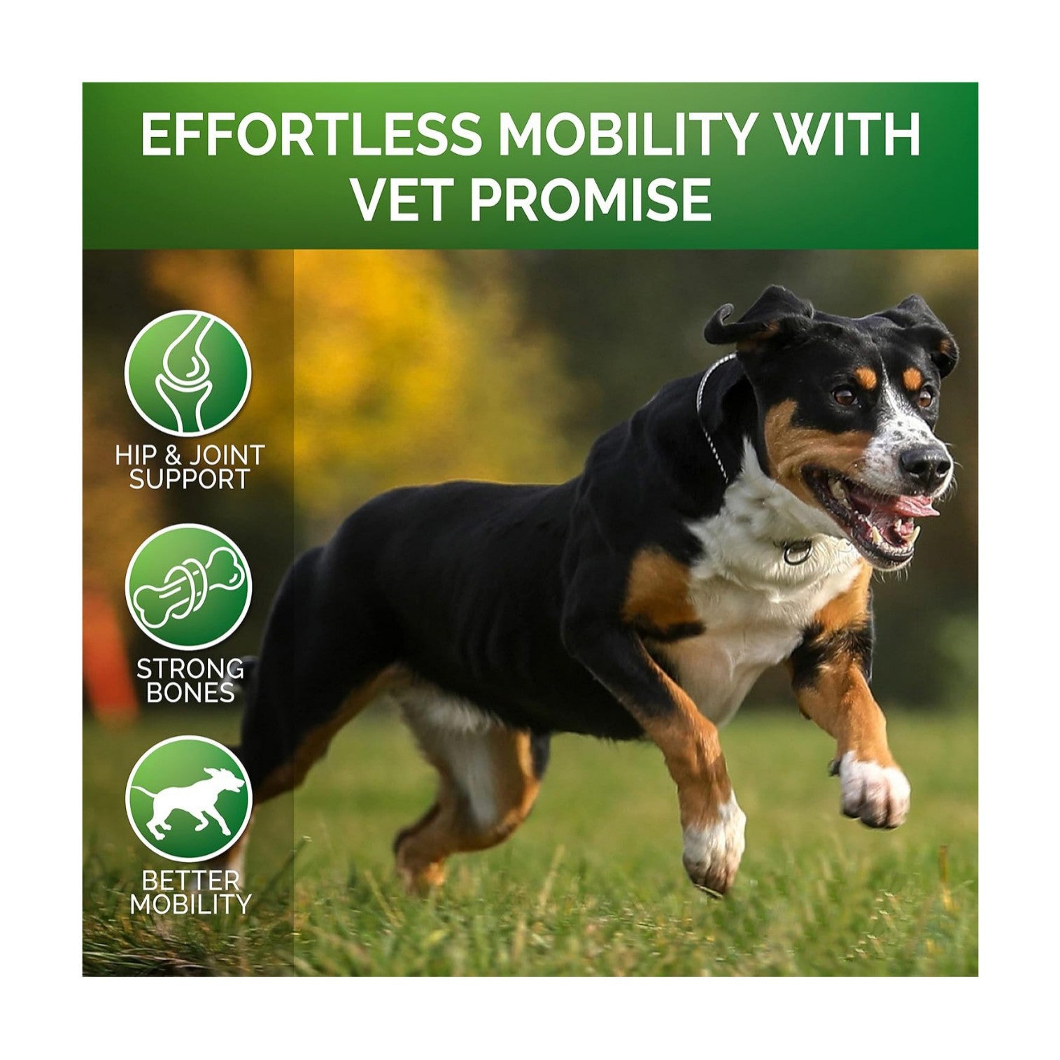 Pet Hip & Joint Supplement Chondroitin - 0 - CJ