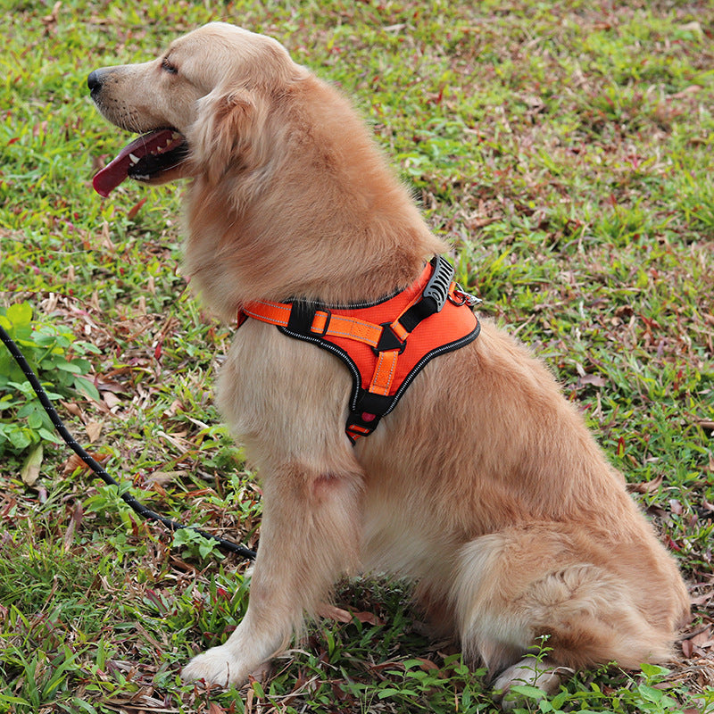 Adjustable Comfortable Dog Harness For Walking - 4 - CJ