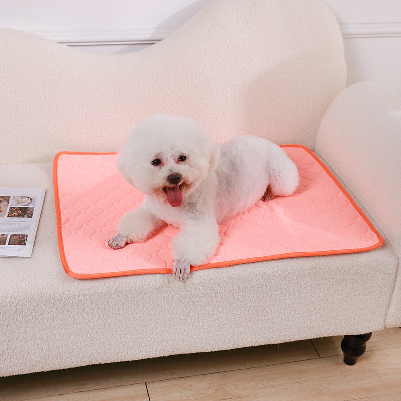 Urinal Pad For Pet Washable Dog Diapers Non - slip Absorbent Easy To Dry - 0 - CJ - Orange - XXS - CJYD227418716PK
