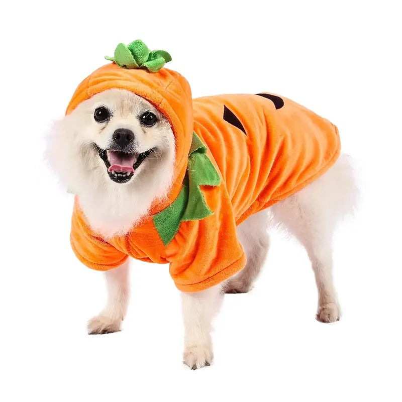 Dog Hoodie Cute Funny Halloween Style Pumpkin Cosplay Costume Warm Puppy Fleece Clothes - 5 - CJ
