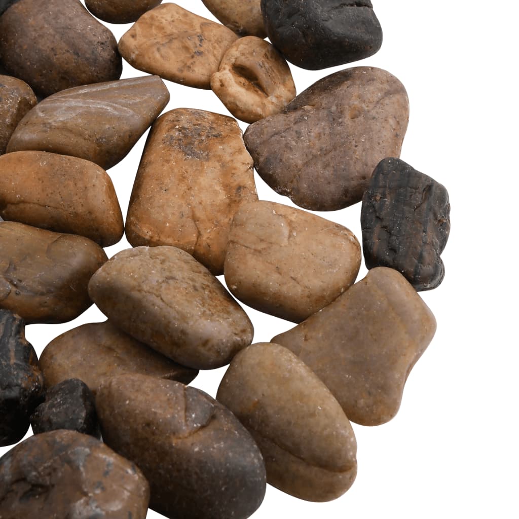 Polished Pebbles Multicolored 2 - 5 cm Polished - 5 - CJ
