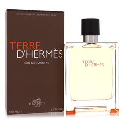 Terre D'hermes Eau De Toilette Spray By Hermes - Eau De Toilette Spray - Hermes