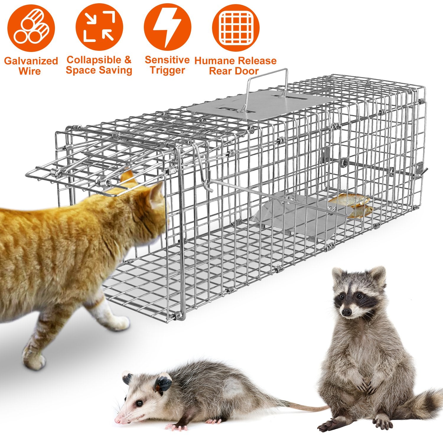 Cat Trap Cage Catch Release Live Animal Rodent Cage Foldable Galvanized Wire - 5 - CJ