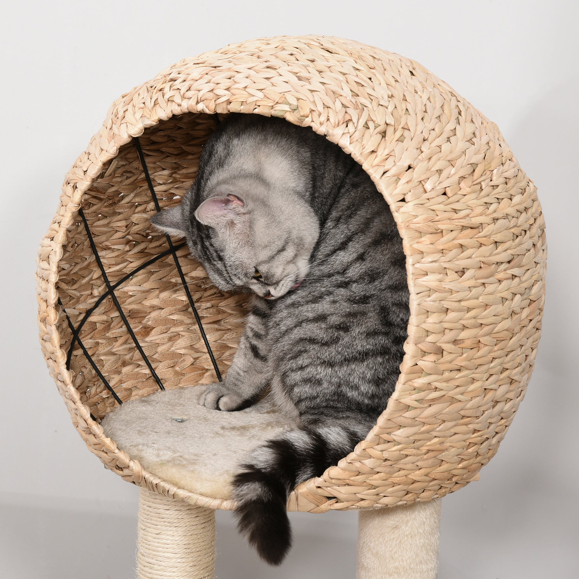 Cat Tree with Sisal Scratching Post Condo and Hanging Rope 39" H, Beige - 5 - CJ