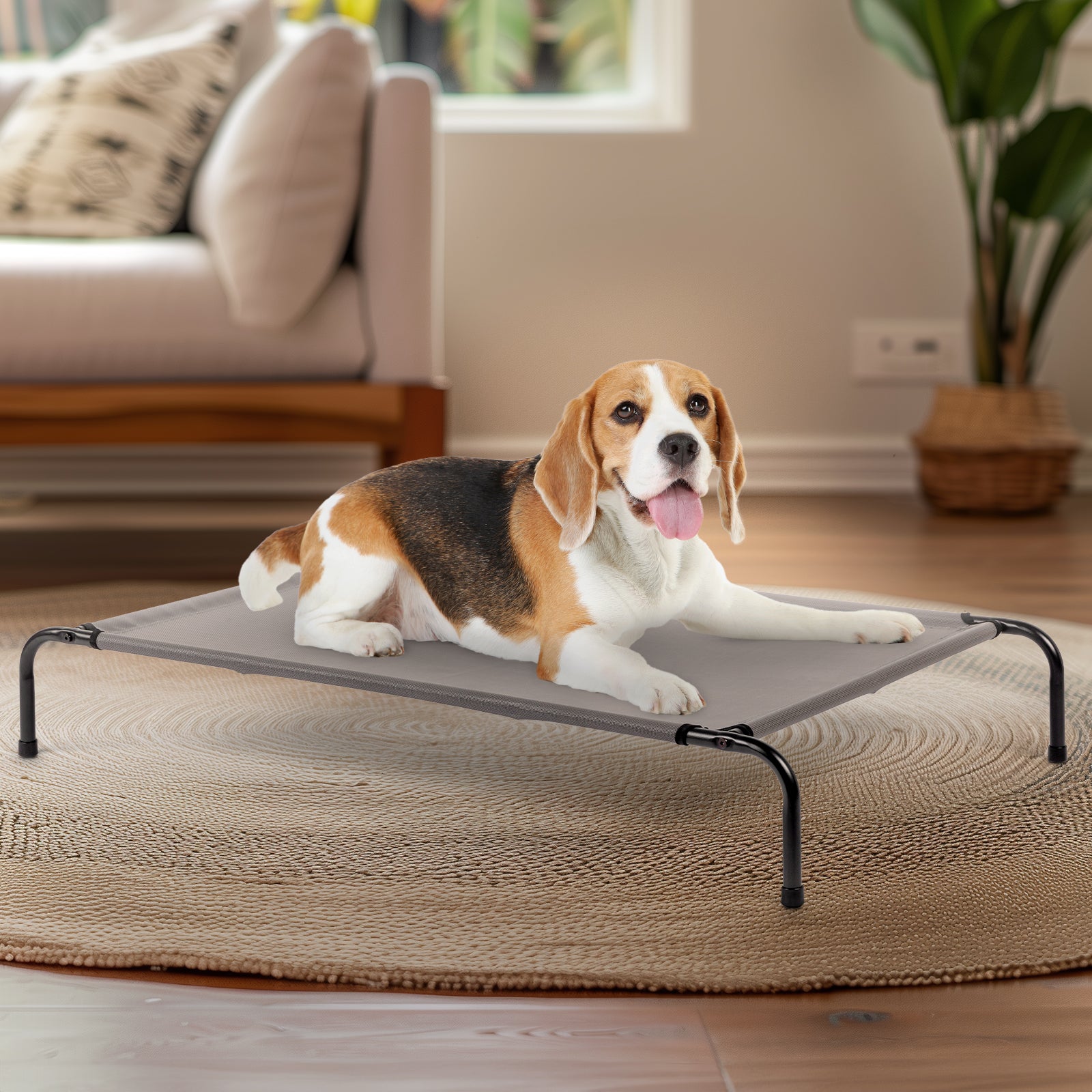 Pet Beds - 5 - CJ