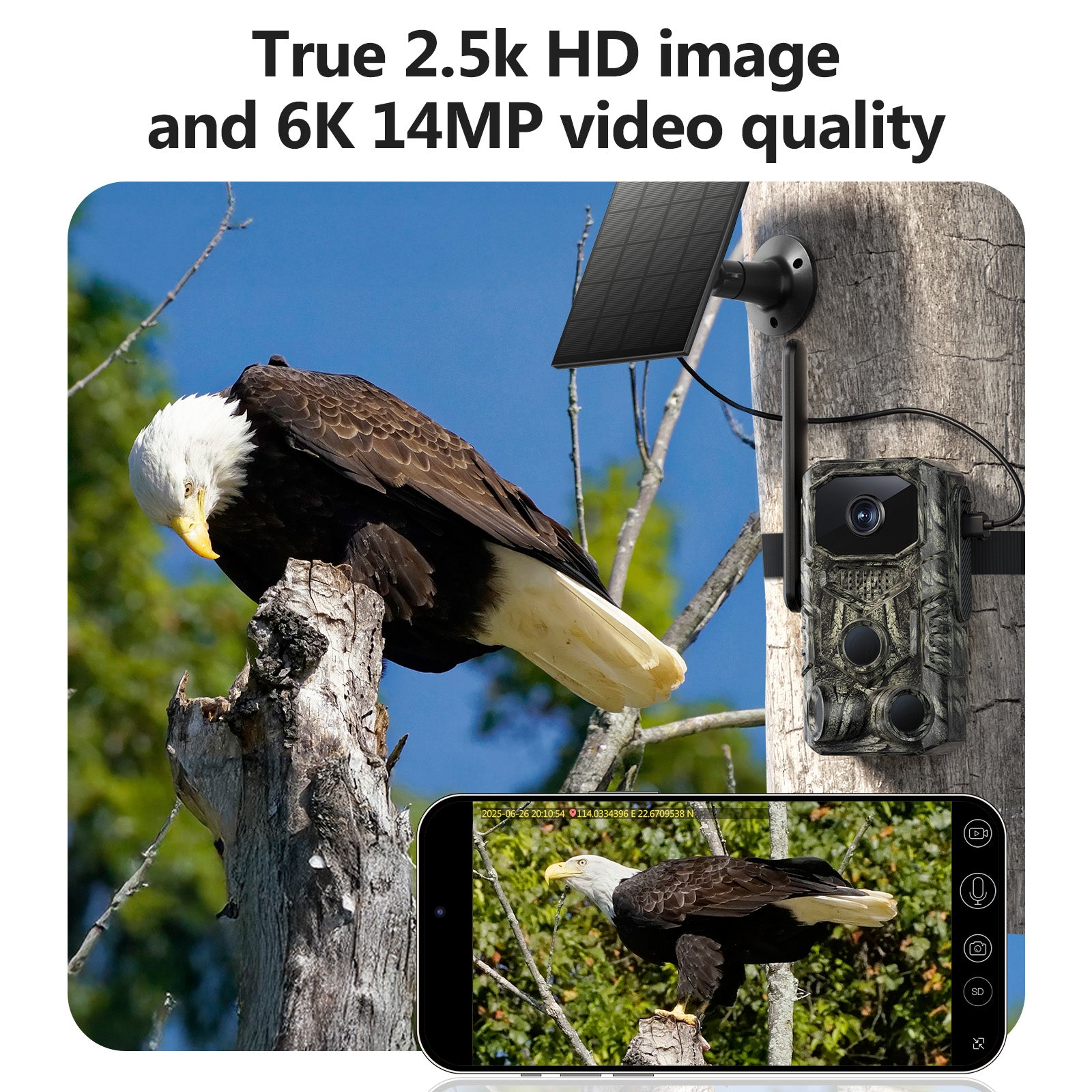 4G GPS Hunting Outdoor Trail Camera Wide Angle 4MP Camouflage Wildlife Deer Monitoring Solar Hunt Camera - 5 - CJ