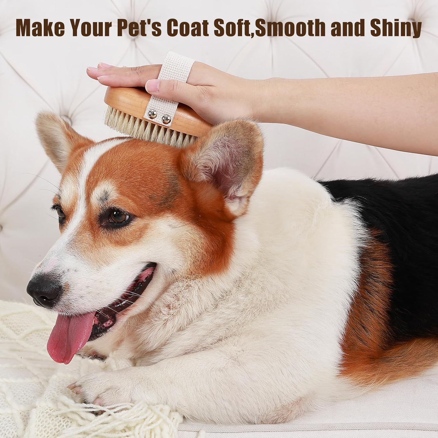 Soft Boar Bristle Pet Palm Brush For Short Haired Dogs And Cats With Band Reduce Shedding Ergonomic Dog Brush Easy To Hold And Reduces Stress On Your Wrist Ideal For Daily Grooming - 4 - CJ