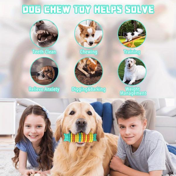Dog Chewing Toys For Aggressive Chewers, Amazon Logistics, Wal Mart Banned - 5 - CJ