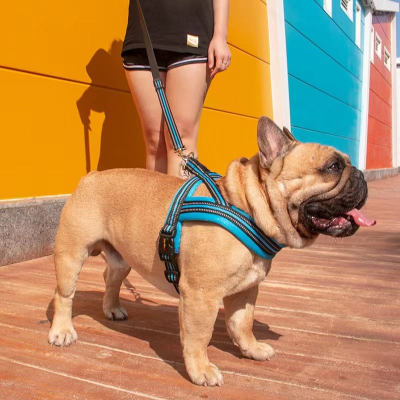 Dog Leash Vest - style Chest Harness - 0 - CJ