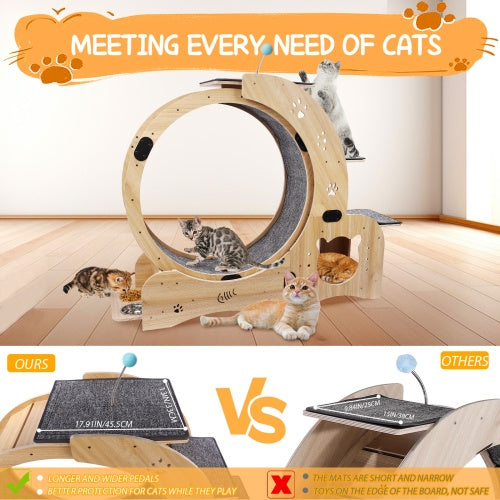 Cat Wheel 6 - in - 1 Cat Fitness Wheel - 5 - CJ