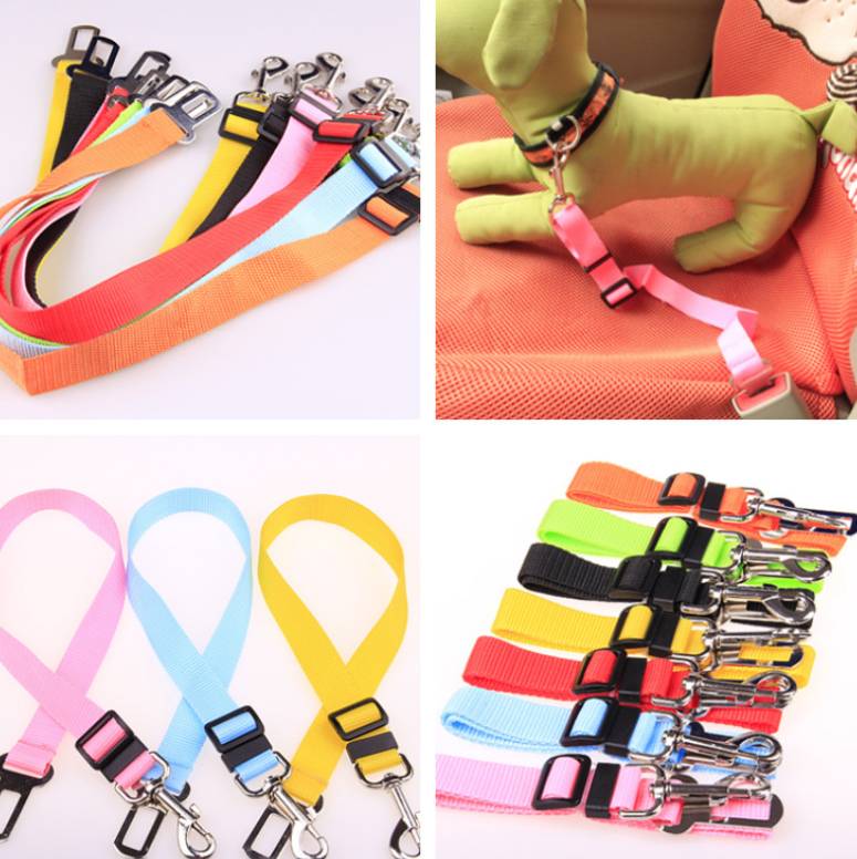 Fixed Strap Polyester Dog Strap Dog Leash Dog Leash - 0 - CJ