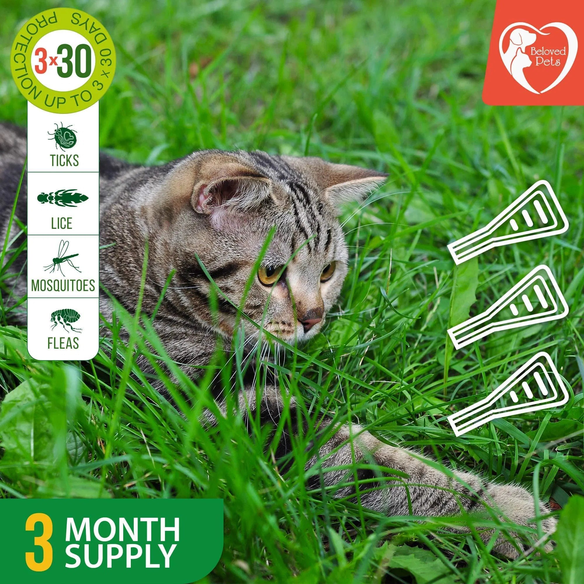 Flea And Tick Prevention For Dogs Cats Rabbits Natural Flea Treatment Home Pest Control Topical Flea Mosquito Repellent For Puppy Kitten 3 Drops For Small And Large Pet - 5 - CJ