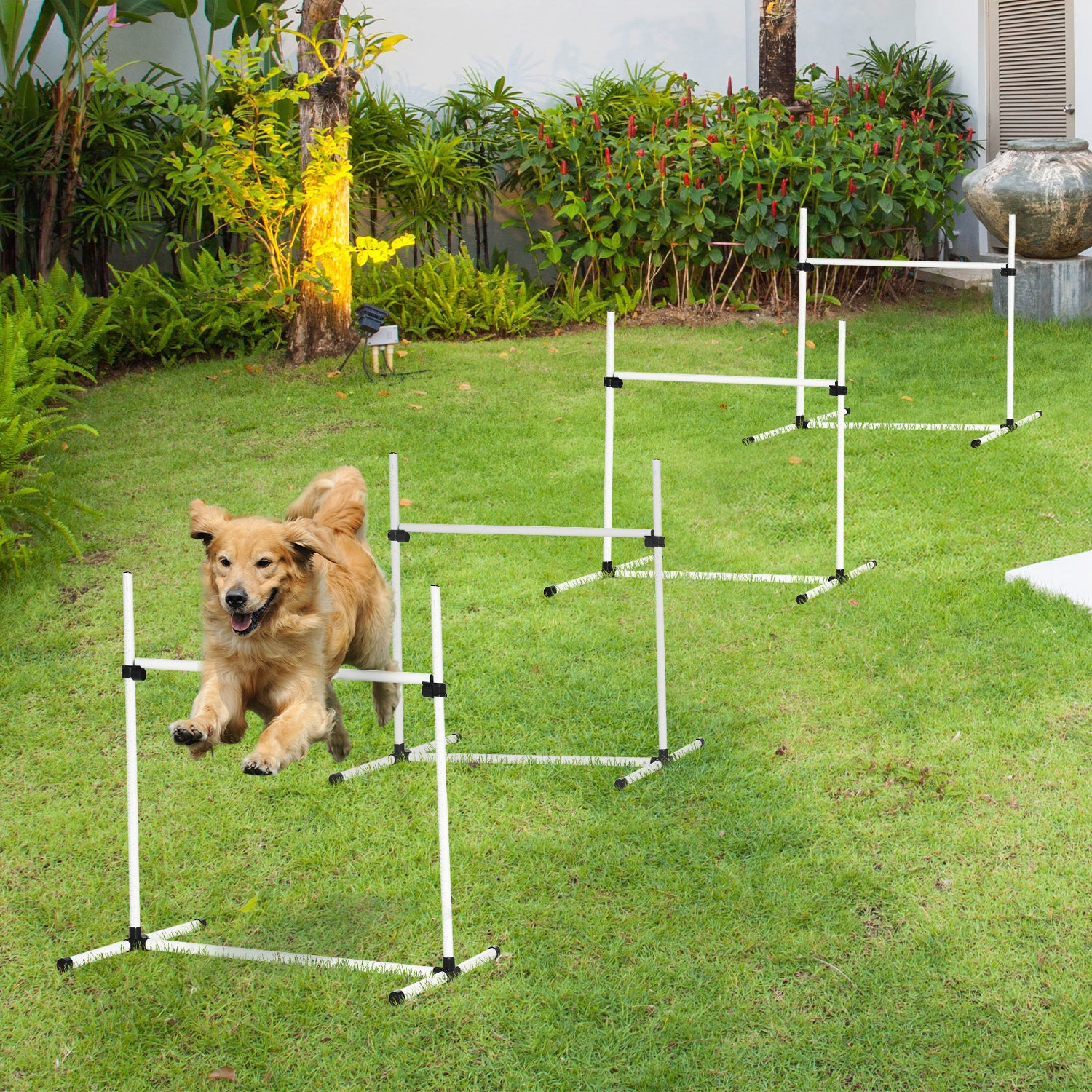 4 - piece Dog Agility Training Equipment With Height - adjustable Jumping Poles - 5 - CJ