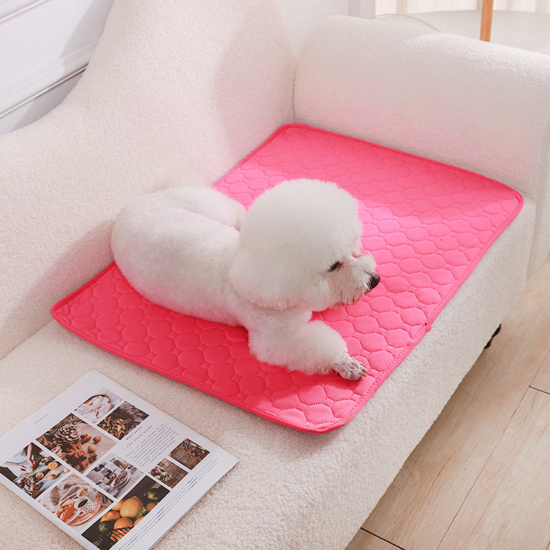 Urinal Pad For Pet Washable Dog Diapers Non - slip Absorbent Easy To Dry - 0 - CJ - Pink - XXS - CJYD227418732FU