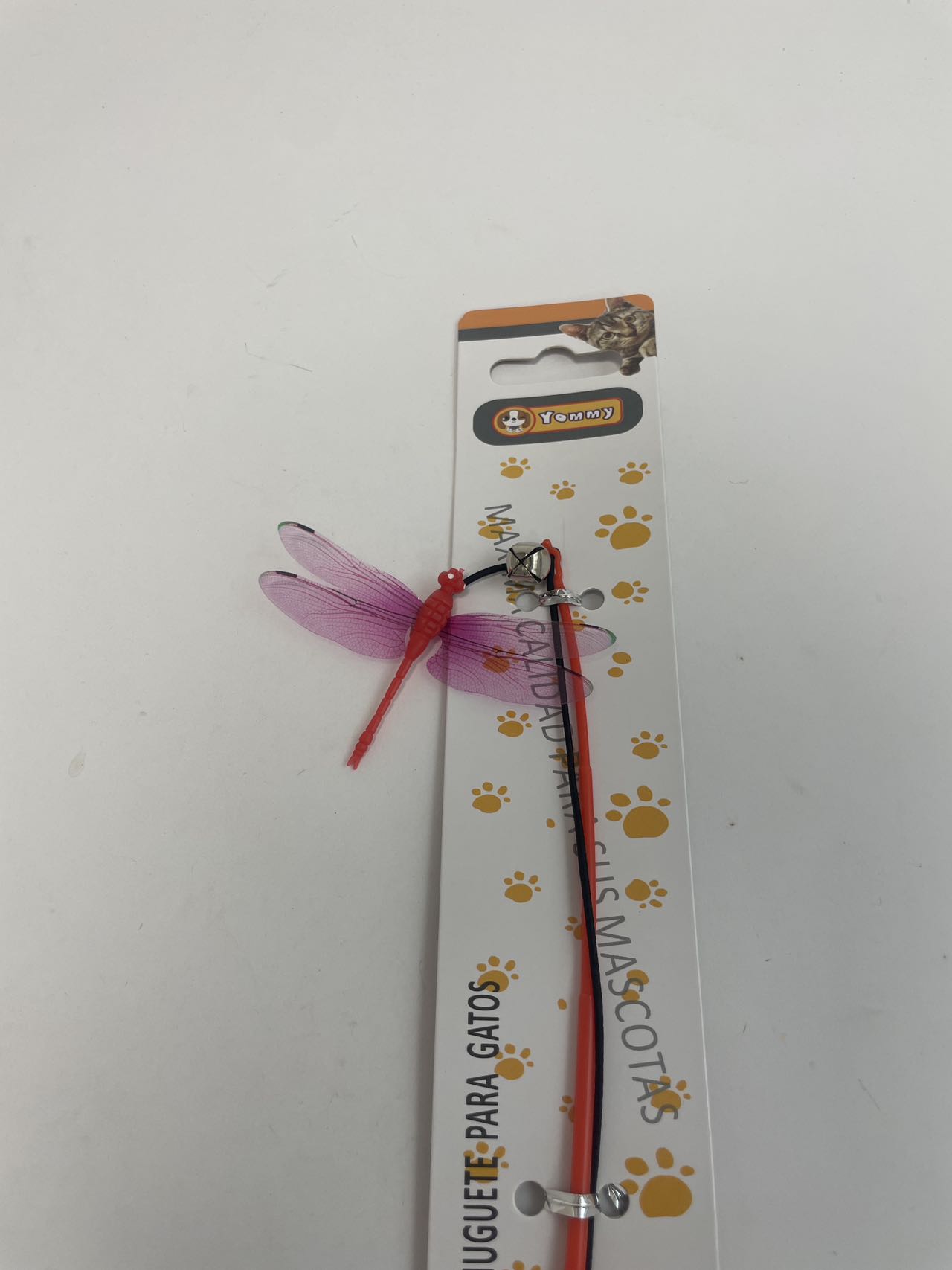 Small Dragonfly Cat Teaser - 5 - CJ