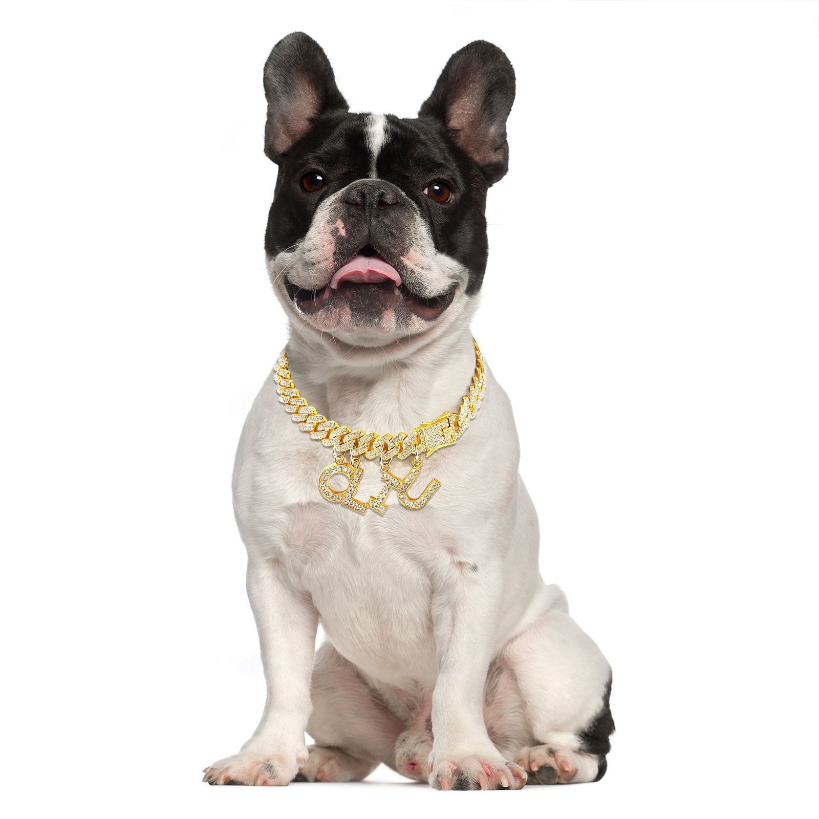 Luxury Alloy Dog Firewood Walking Collar - 5 - CJ