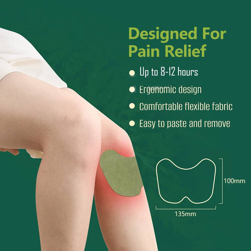 24x Wormwood Knee Plaster Sticker Wellnee Back Neck Pain Joint Ache Relief Patch - 5.0 - CJ