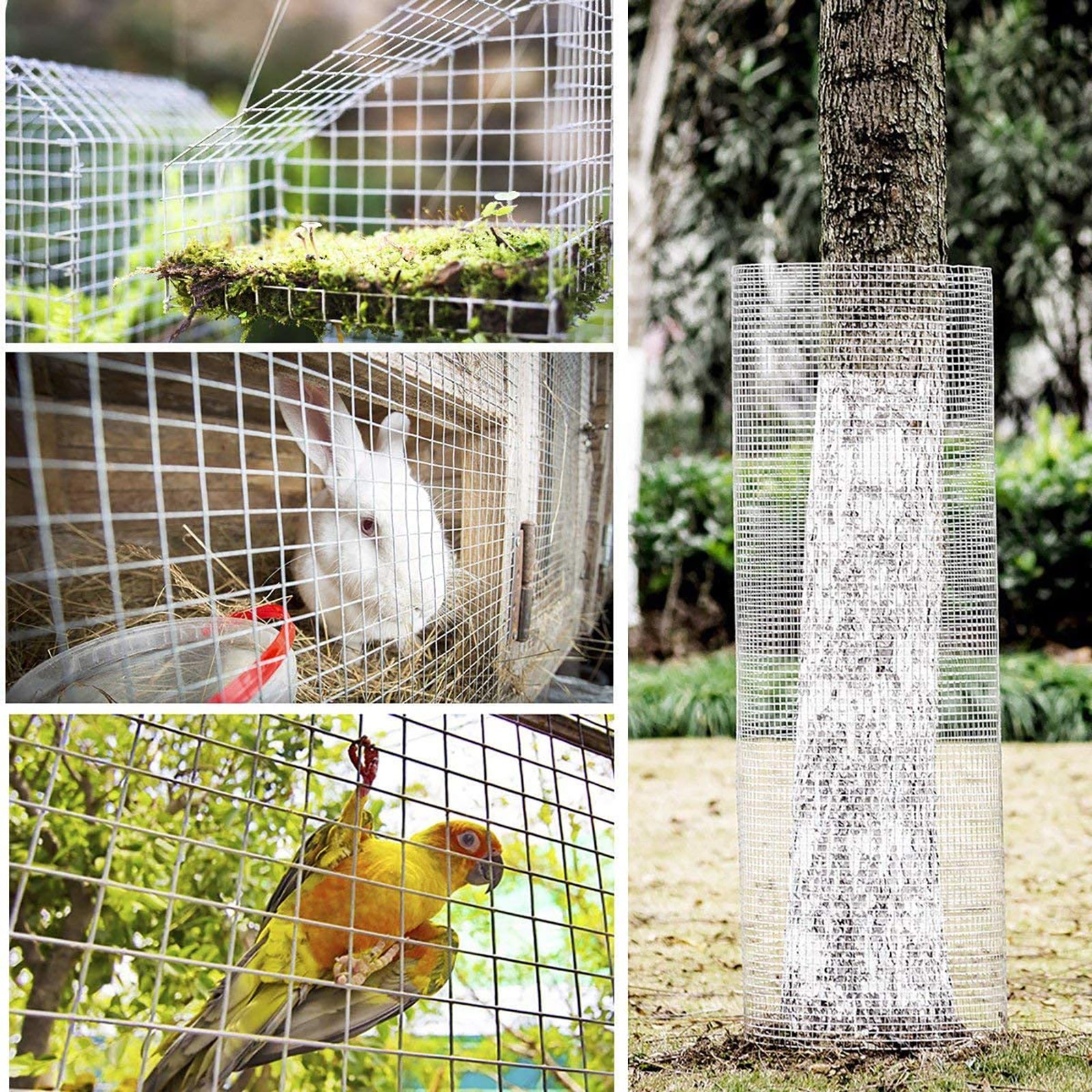 Chicken Wire Mesh Fence Roll After Metal Welding - 5 - CJ