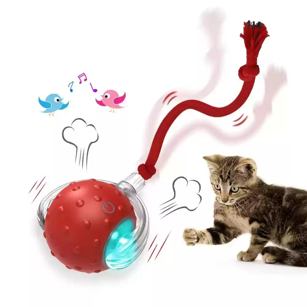 Interactive Cat Toy Ball Super Drive Cat Rolling Balls With - 0 - CJ