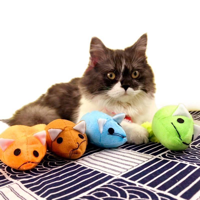 Long Tail Mouse Cat Teaster Toys Funny Pet Toys Cat Toys Mouse Trainning Funny Playing Toys Interactive Pets Products - 0 - CJ
