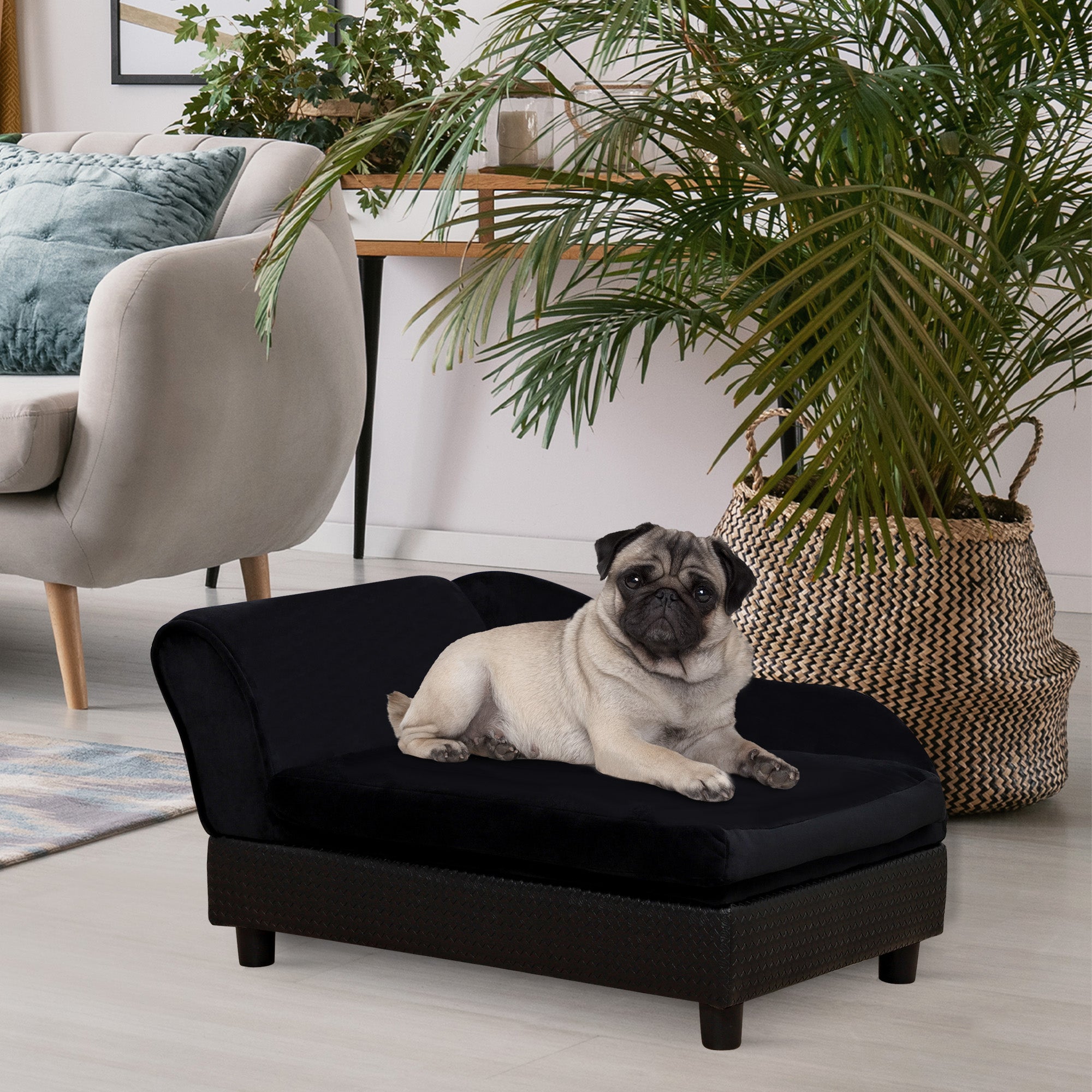 Pet Sofa Bed Couch with Storage, Pet Sofa for Cats and Small Dogs, Black - 5 - CJ