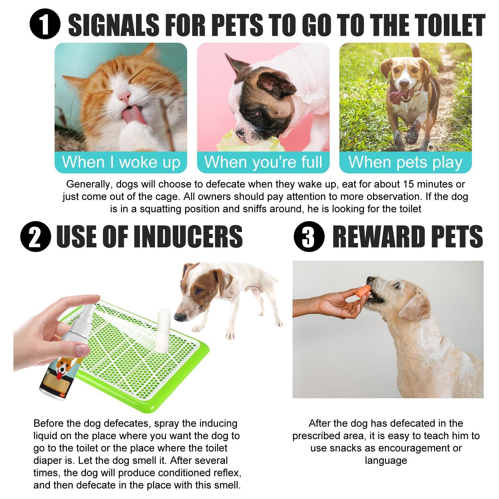Yegebang Pet Defecation Positioning Spray Pet Feces Positioning Pet Cat And Dog Defecation Inducer - 5 - CJ