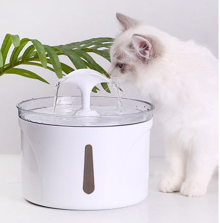 Pet Water Dispenser Intelligent Automatic Circulating Filter Water Dispenser - 0 - CJ