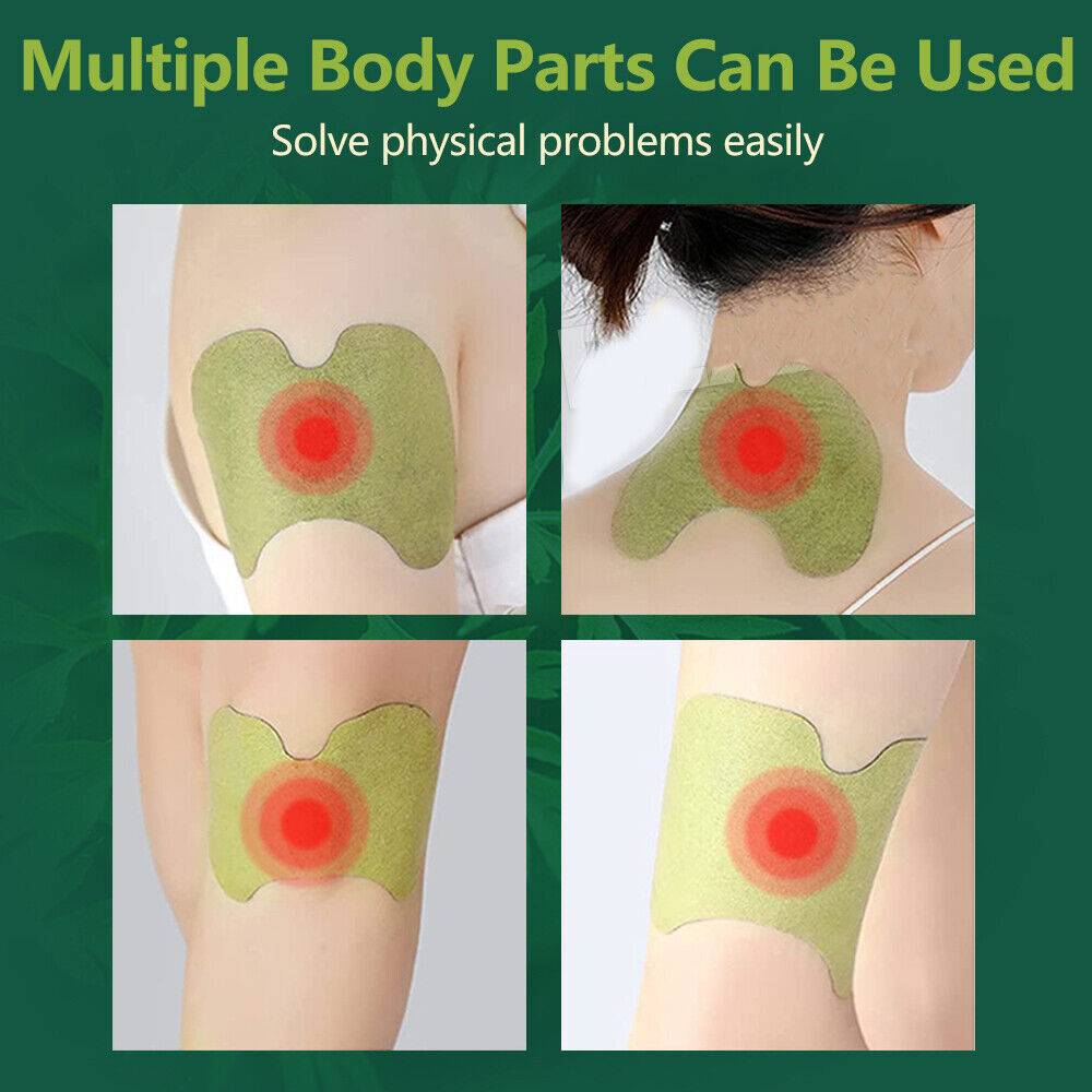 24x Wormwood Knee Plaster Sticker Wellnee Back Neck Pain Joint Ache Relief Patch - 5.0 - CJ