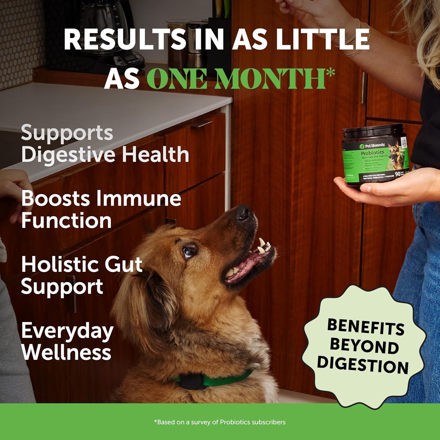 Youmile Probiotics For Dogs Soft Chews For Seasonal Allergies, Gut, And Digestive Health. Vet - Reviewed, Premium - Quality Ingredients - Supplements Dog Vitamin Hip And Joint Supplement - 5 - CJ