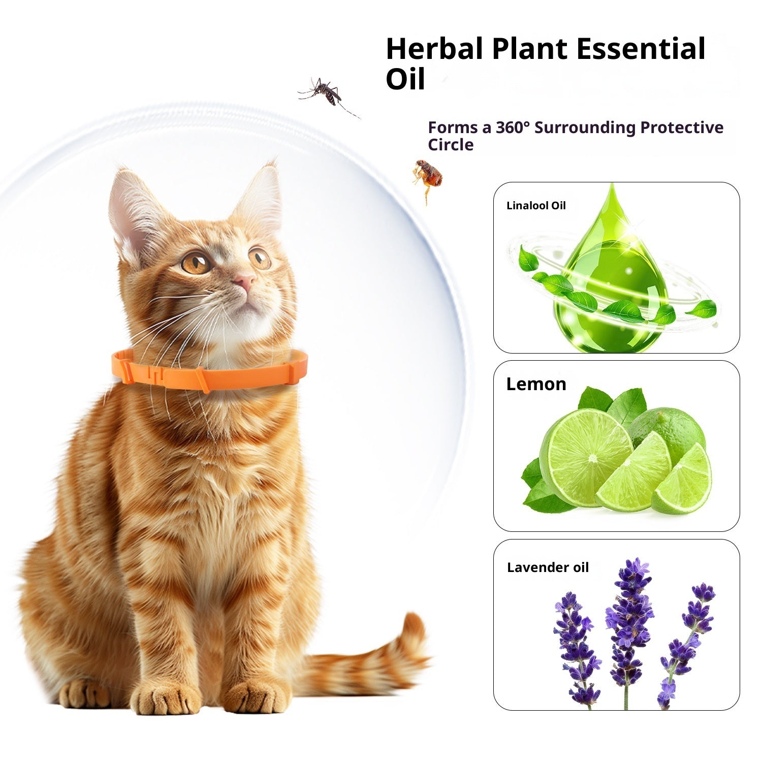 Anti - bite Cat For Common Dogs Adjustable Collar - 0 - CJ