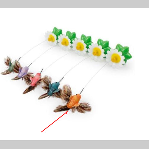 Electric Automatic Rotating Flower Pet Products - 0 - CJ - orange - bird - CJJJCWMY00014 - orange - bird