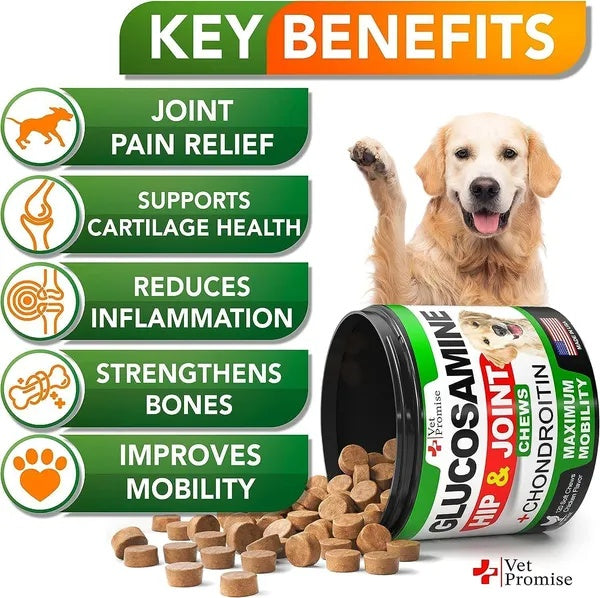 Glucosamine For Dogs 2 Pack Hip And Joint Supplement With Chondroitin 240 Chews - 5 - CJ